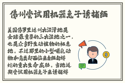 一二三四在线视频观看社区